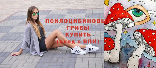 Альфа ПВП Баксан